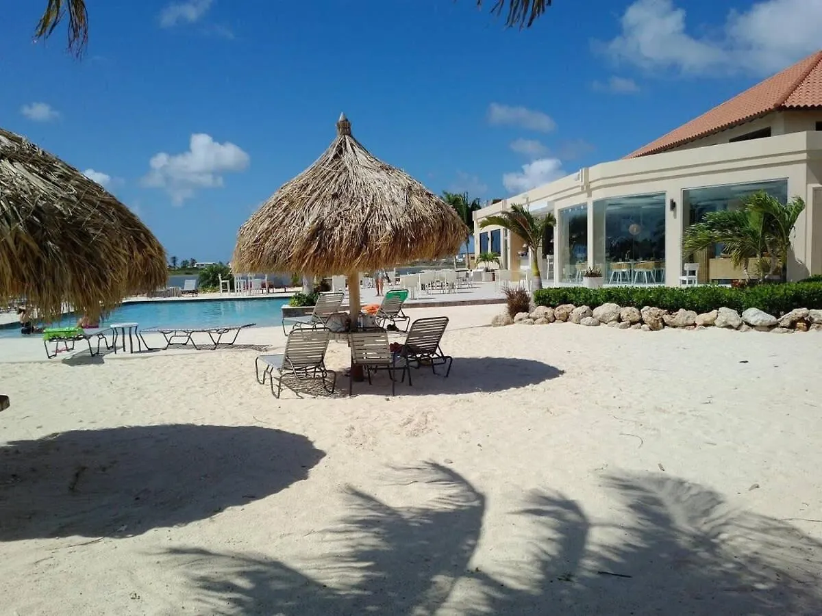 Special House In Gold Coast With Private Jacuzzi Villa Palm Beach Aruba